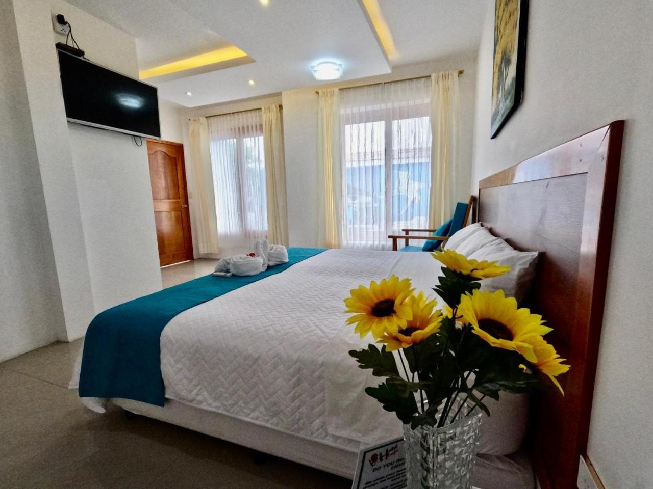 Galapagos Isabela Hotel Loja Пуерто Виламил Стая снимка
