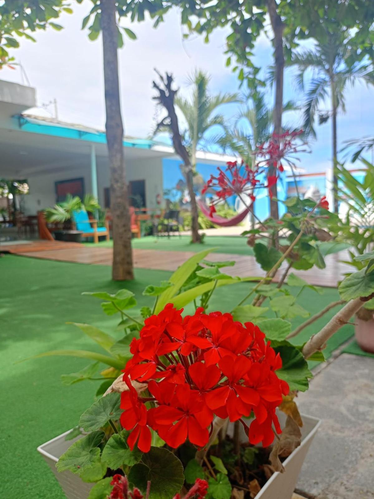 Galapagos Isabela Hotel Loja Пуерто Виламил Екстериор снимка